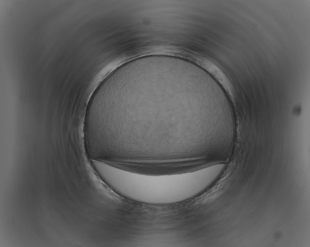 X0000094340954200711241849