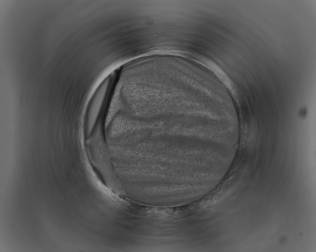 X0000094340955200711241849