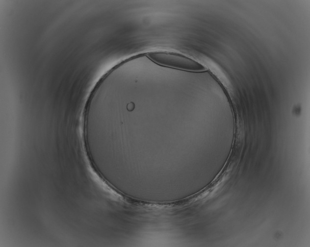 X0000094340958200711241849