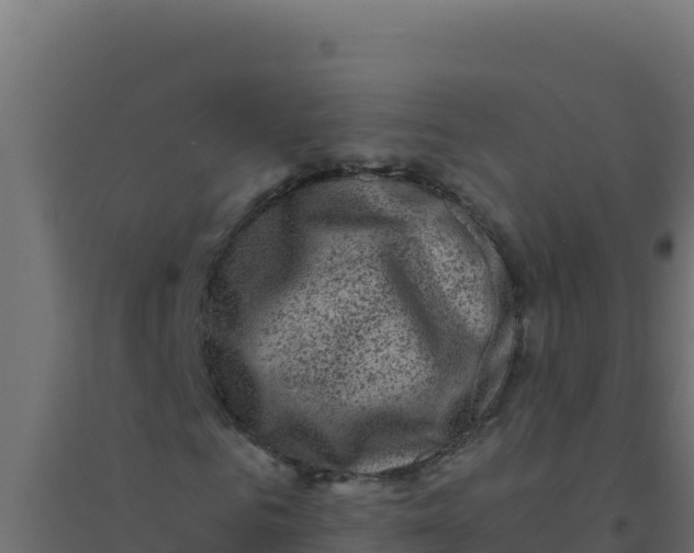 X0000094340961200711241848