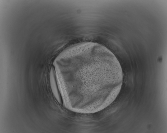 X0000094340962200711241848