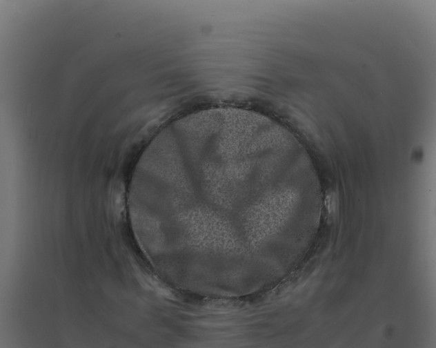 X0000094340963200711241848