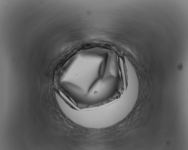 X0000094340965200711241848