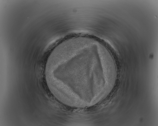 X0000094340967200711241848