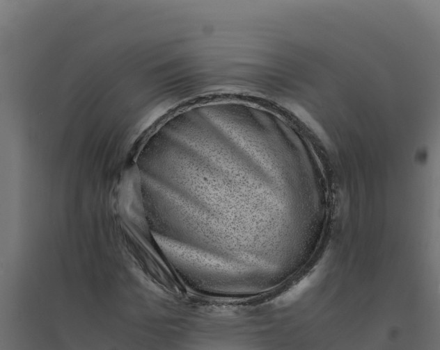 X0000094340969200711241848