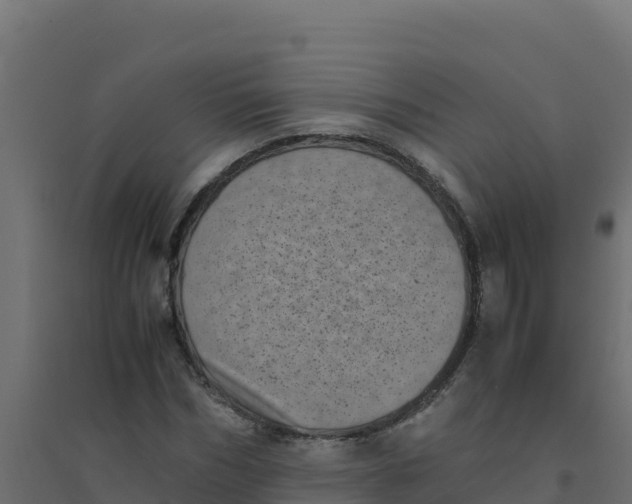 X0000094340970200711241848