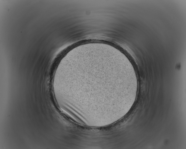 X0000094340971200711241848