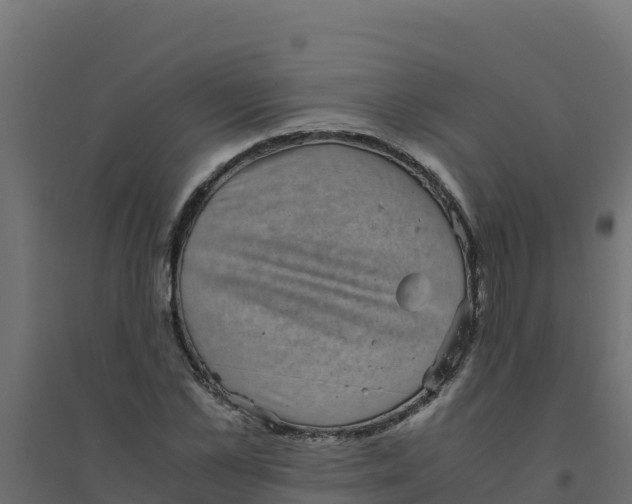 X0000094340973200711241848