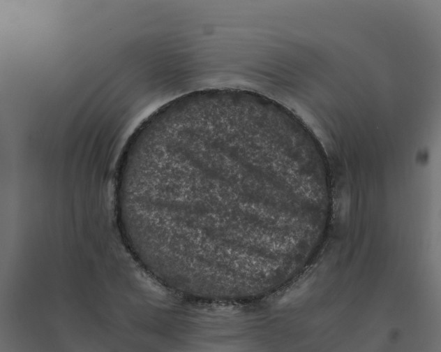 X0000094340975200711241848