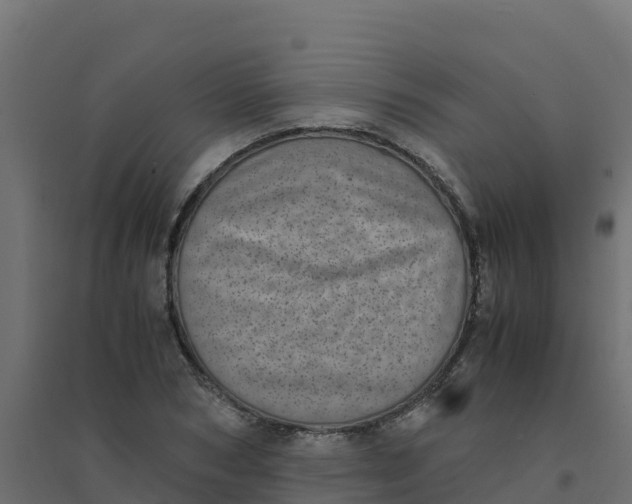 X0000094340978200711241848