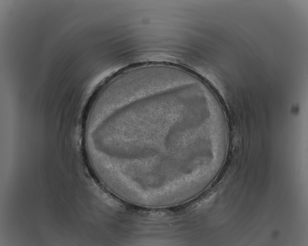 X0000094340979200711241848