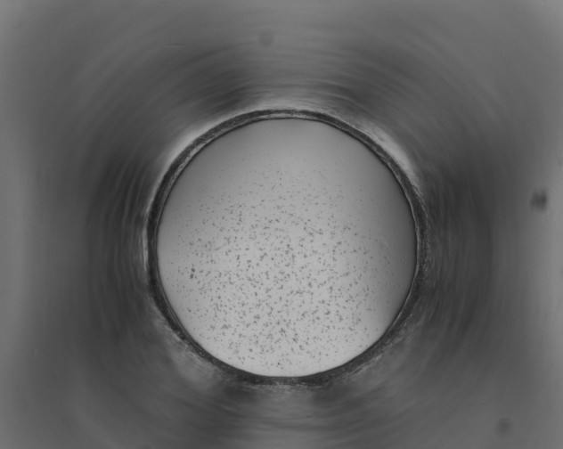 X0000094340980200711241848