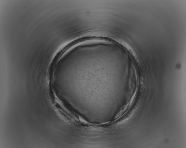 X0000094340981200711241848