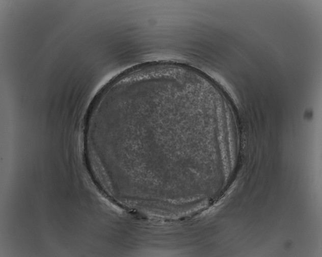 X0000094340983200711241848