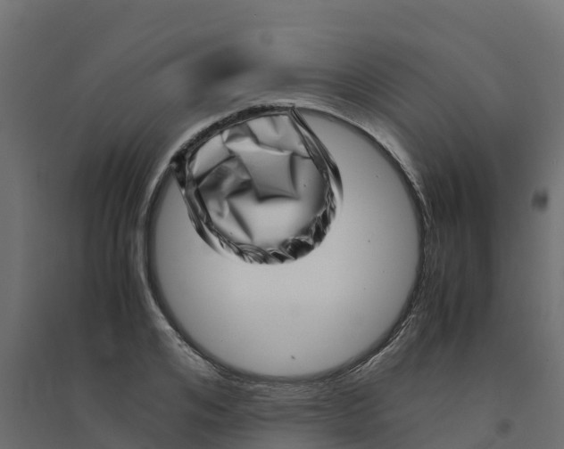 X0000094340984200711241848