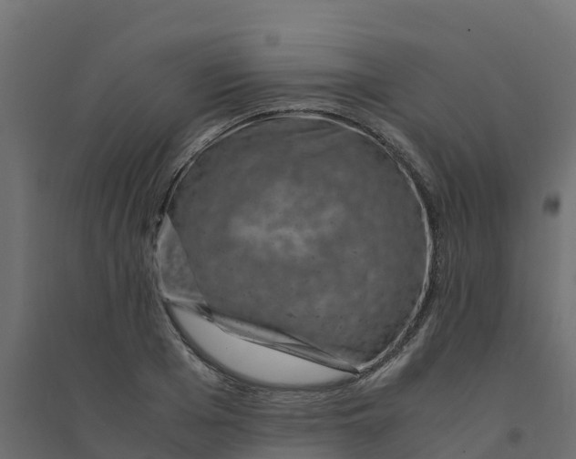 X0000094340985200711241848