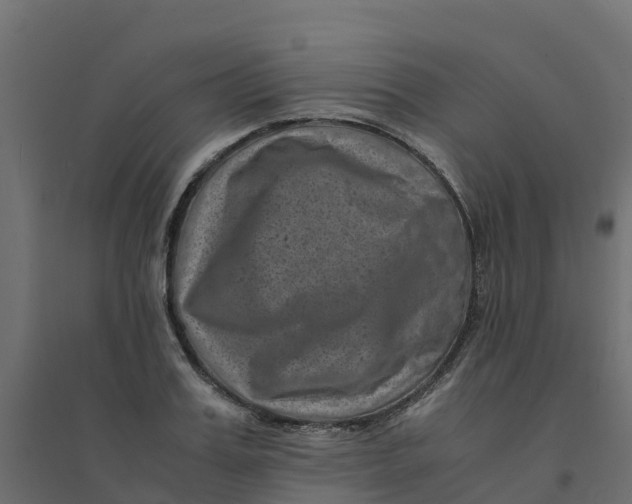 X0000094340987200711241848