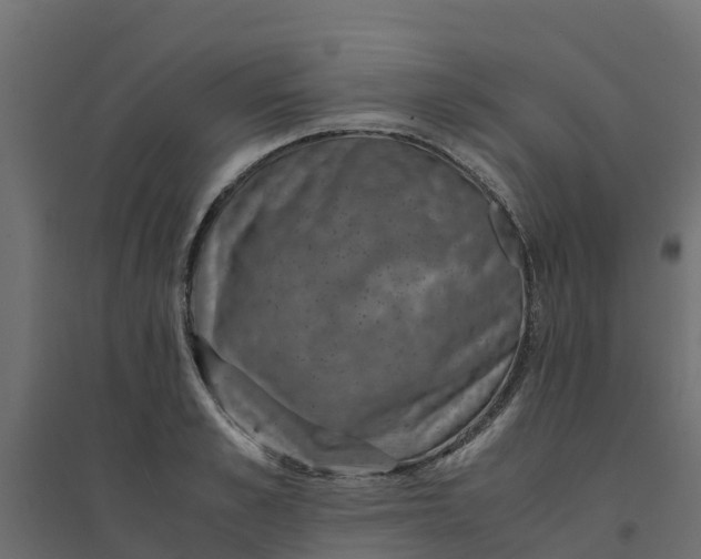 X0000094340989200711241848