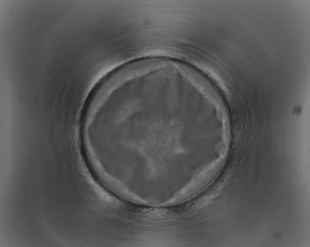 X0000094340991200711241848