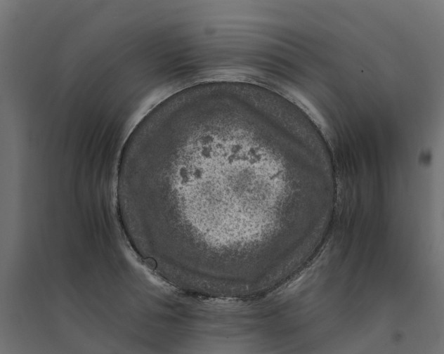 X0000094340994200711241848