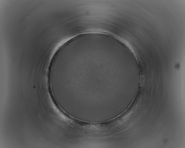 X0000094340995200711241848