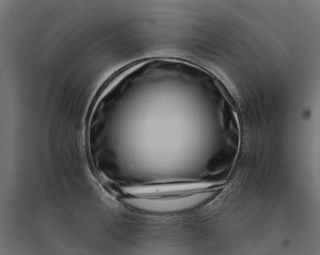 X0000094340996200711241848