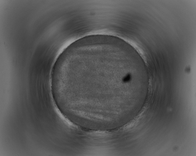 X0000094340998200711241848