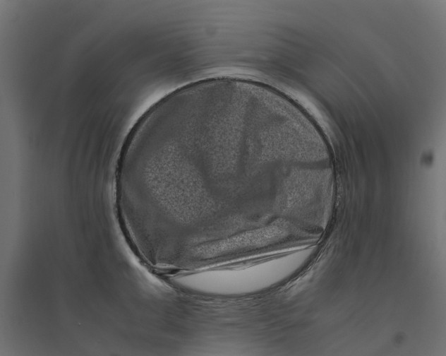 X0000094340999200711241848