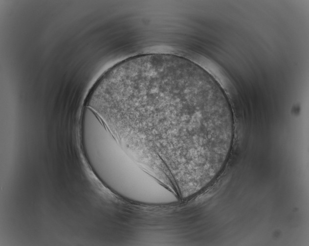 X0000094341000200711241848