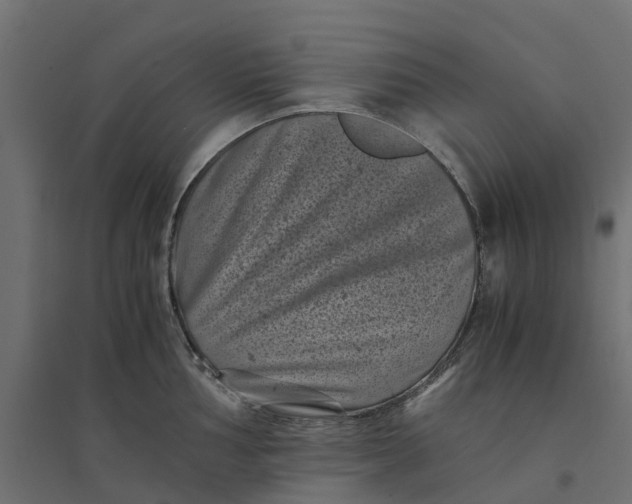 X0000094341002200711241848