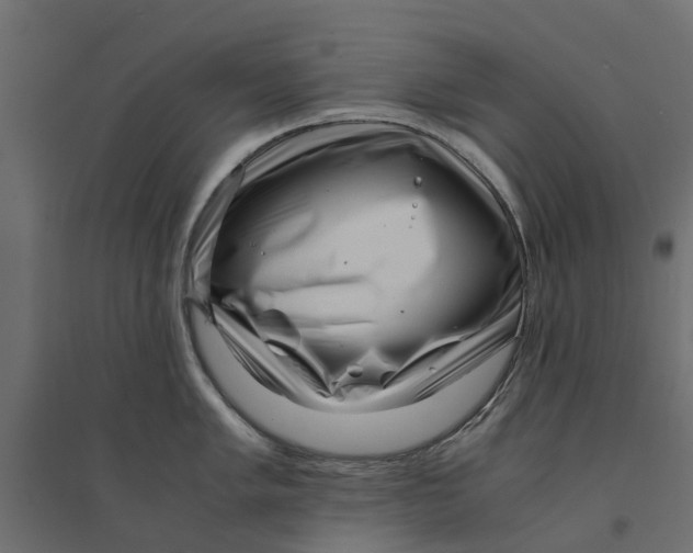 X0000094341005200711241847