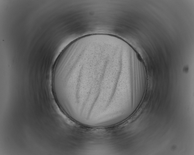 X0000094341006200711241847