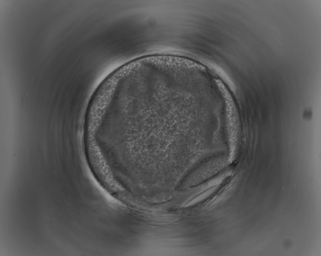 X0000094341007200711241847