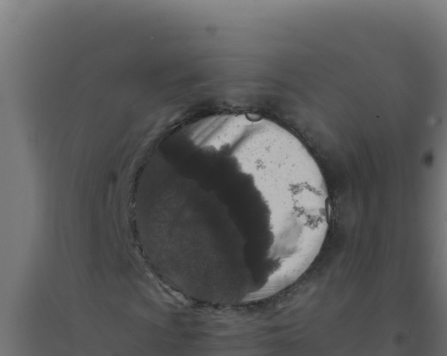 X0000094341009200711241847