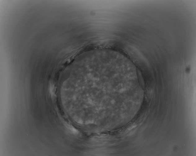 X0000094341010200711241847