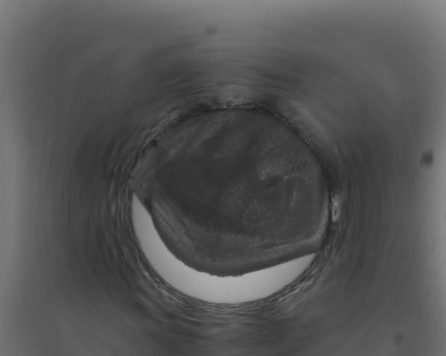 X0000094341011200711241847