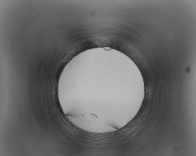 X0000094341012200711241847