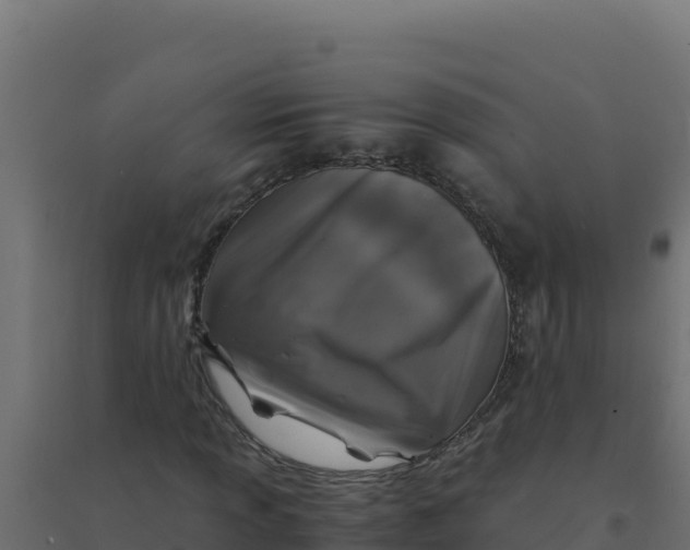 X0000094341013200711241847