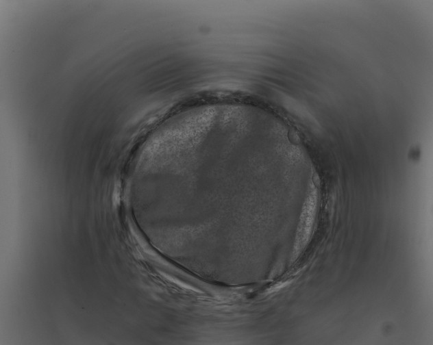 X0000094341014200711241847