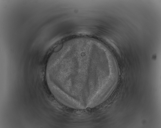 X0000094341015200711241847