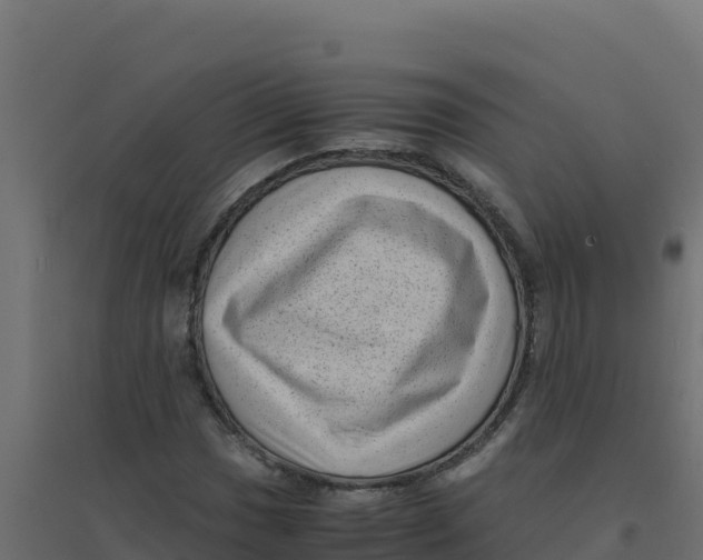 X0000094341017200711241847