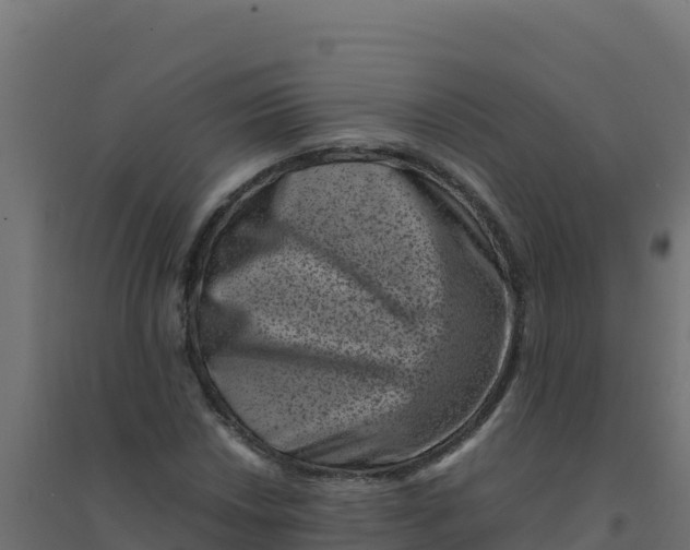 X0000094341018200711241847