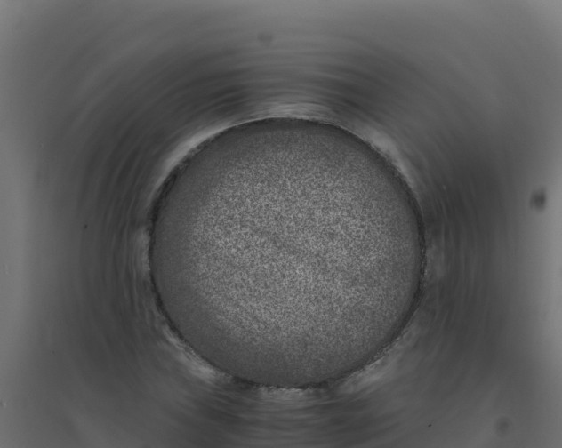 X0000094341019200711241847