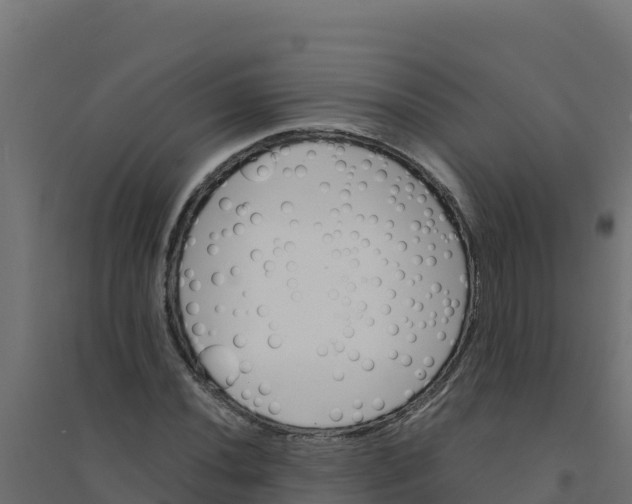 X0000094341020200711241847