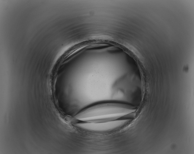 X0000094341022200711241847