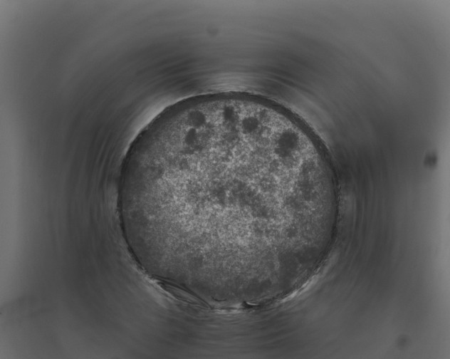 X0000094341023200711241847