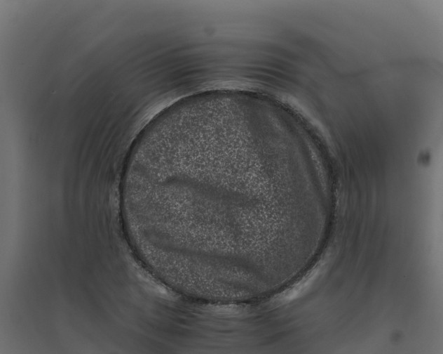 X0000094341025200711241847