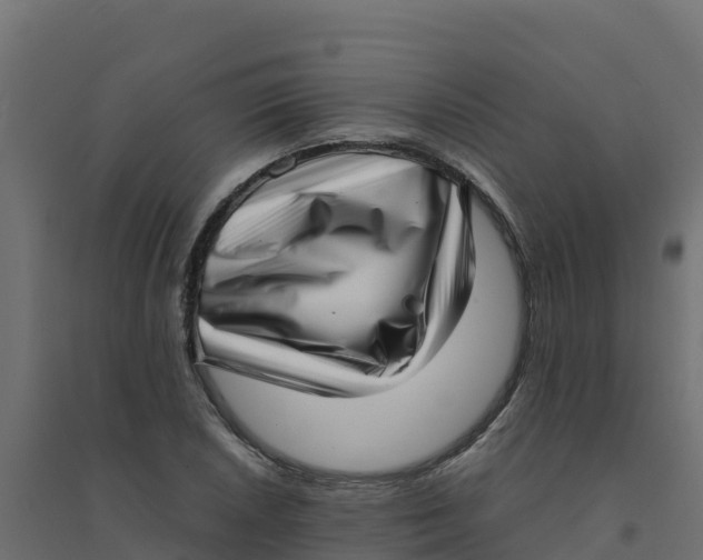 X0000094341026200711241847