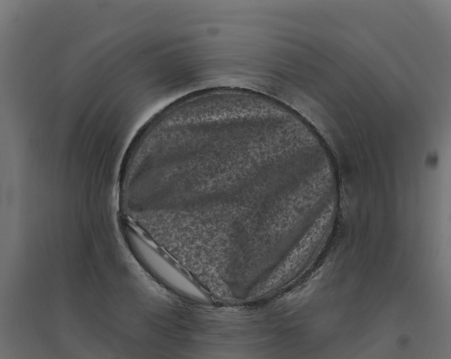 X0000094341028200711241847