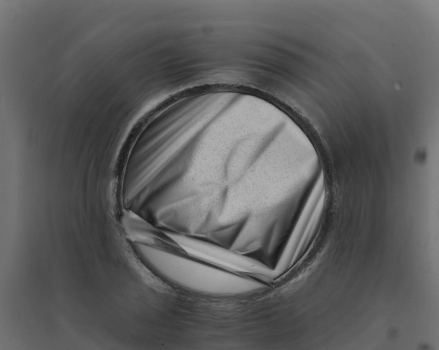 X0000094341029200711241847